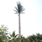 Погружение стальной Monopole башни пальмы радиосвязи горячее гальванизировало